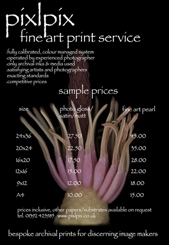 printing page image